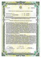 Де_Визио_лицензия-3 (Барнаул)