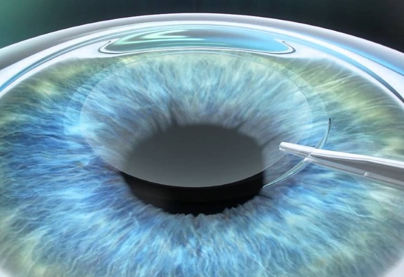 Новый взгляд на жизнь