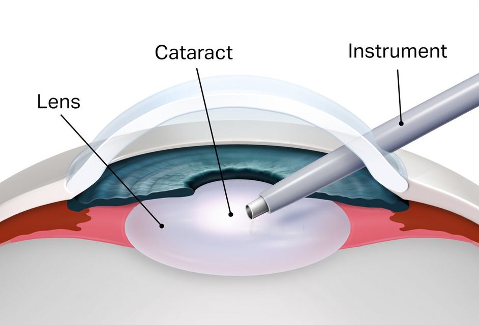 Фото1 бийск в текст главная.jpg